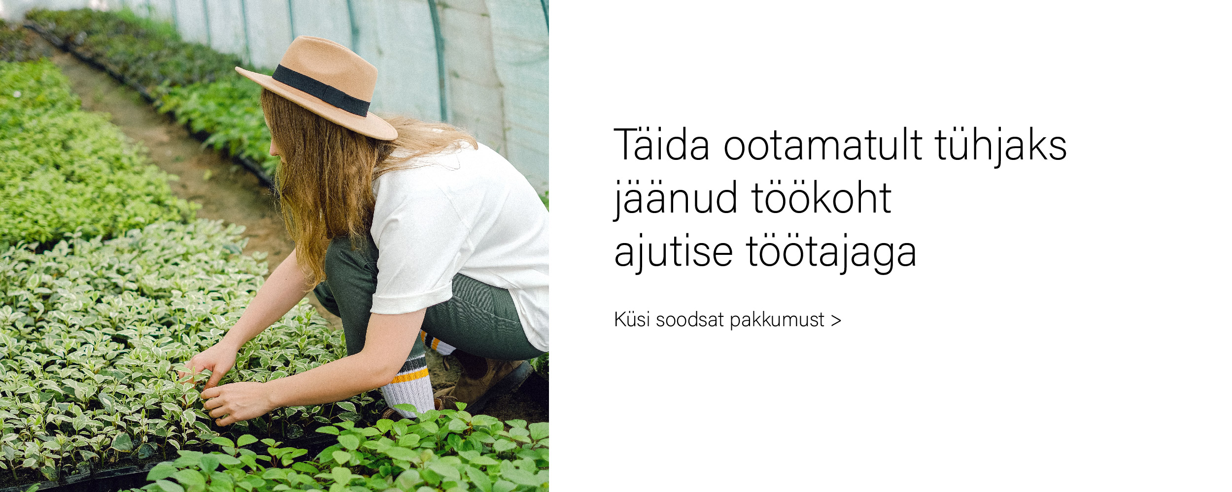 Küsi soodsat pakkumust